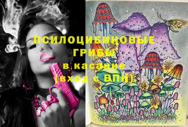 амф Ессентукская